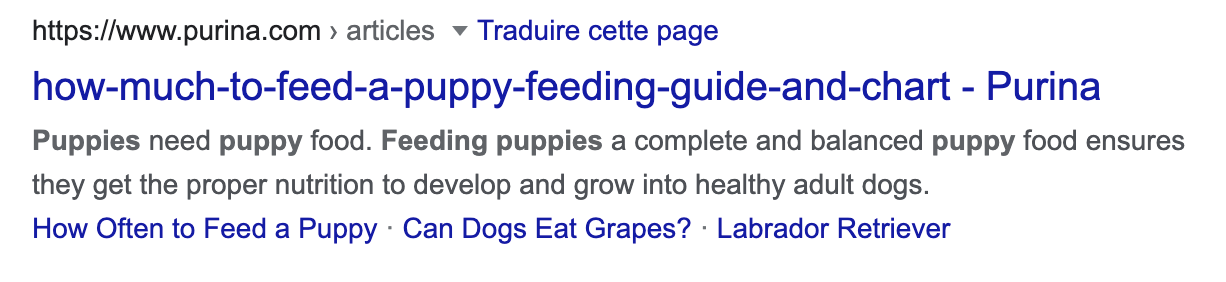 Exemple de title retouchée par Google