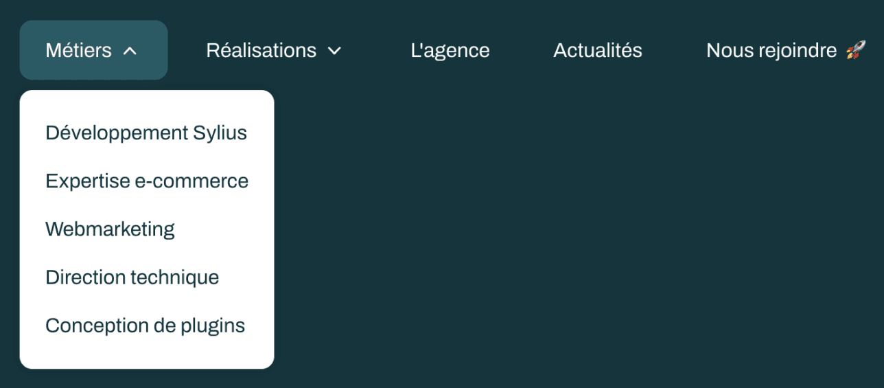 Capture d’écran du menu d’un site internet composé de liens internes