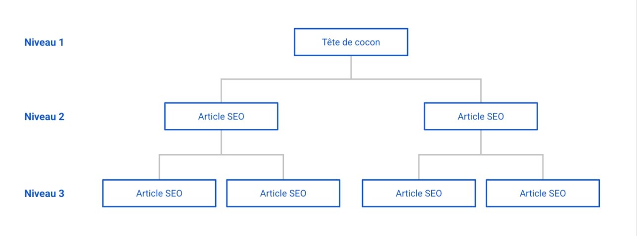 Shéma d'un cocon sémantique avec un maillage interne optimal
